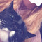 i love tekkkkkkk