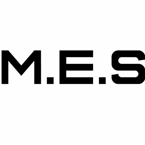M.E.S’s avatar
