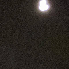 owis