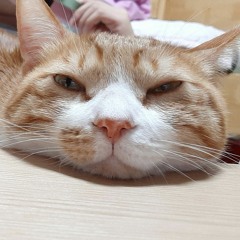 heyromi