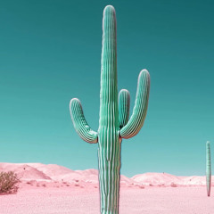 BeardedCactus