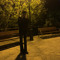 1flash