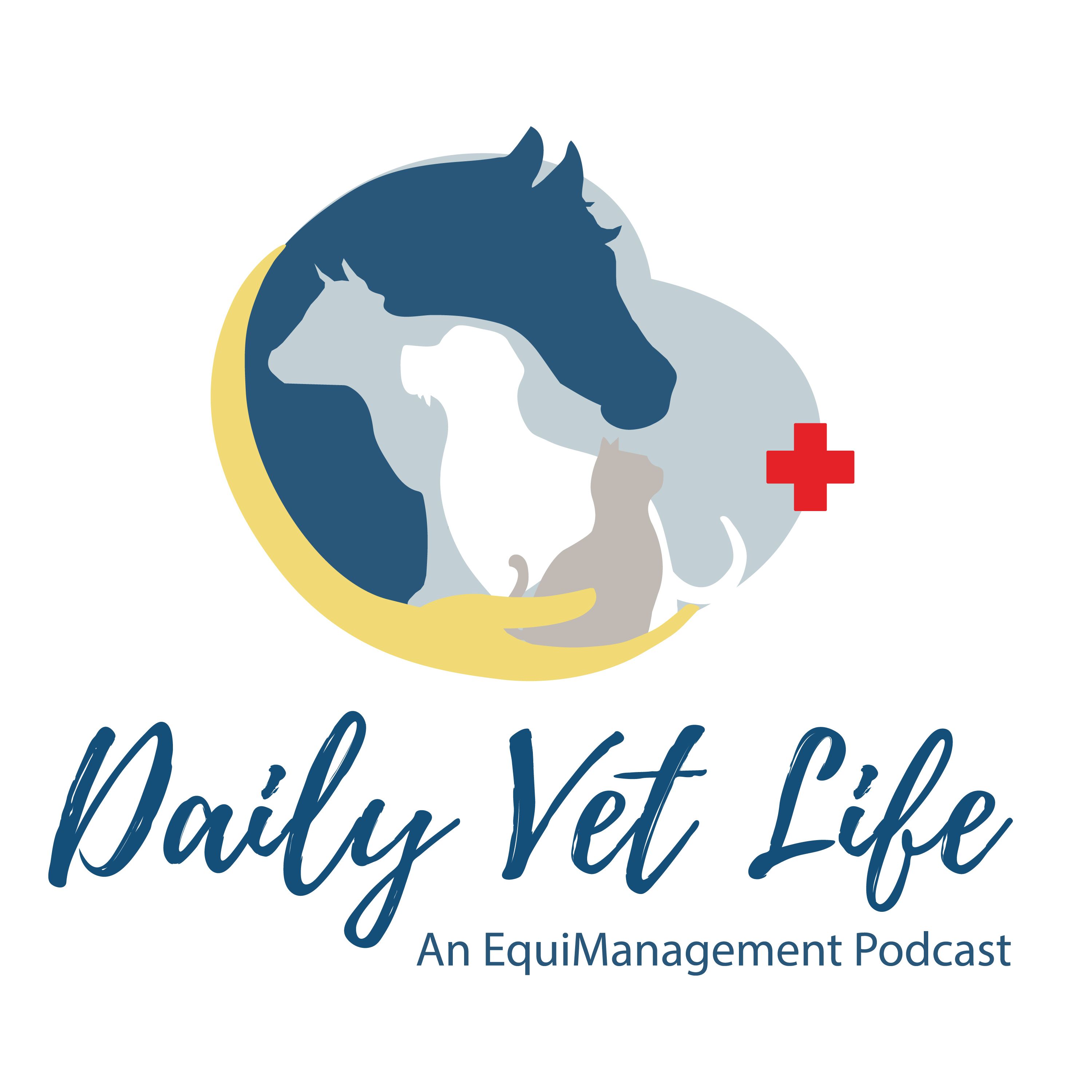 Daily Vet Life