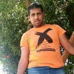 هشام السيد