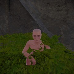 vindie