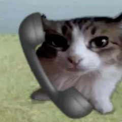 Ng.Hiew?