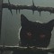 BATTY,.,,VOTH