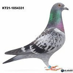 ابومهنا الحربي