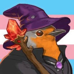 PocketRobin