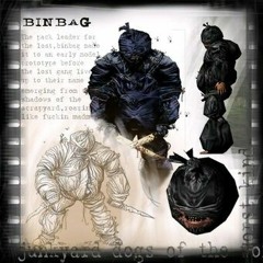 BINBAG.