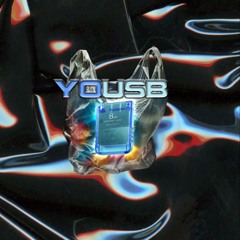 yousb