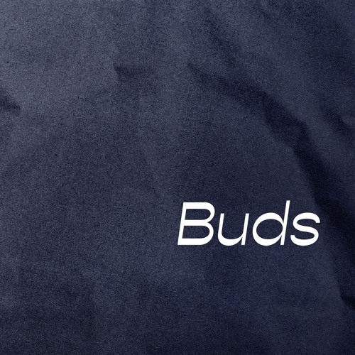 SoundCloud profile picture for @buds