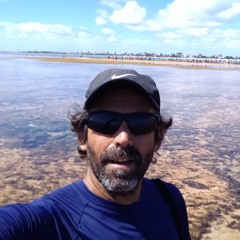 Américo