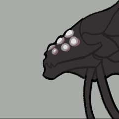 Kora