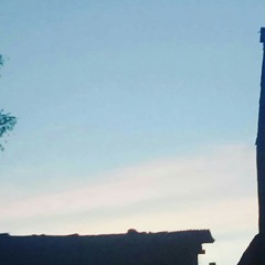 vicky09