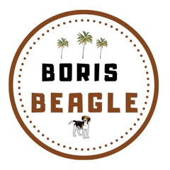 Boris Beagle