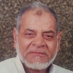 محمد لطفى