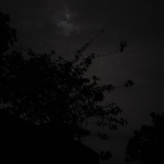 Ng Hoàngg