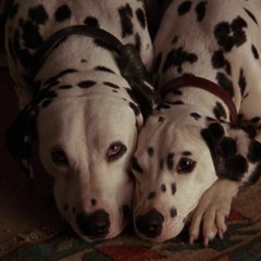 CHARLIECHAPLIN WHITEFACE ROCAFELLA EMJAY JACKSON