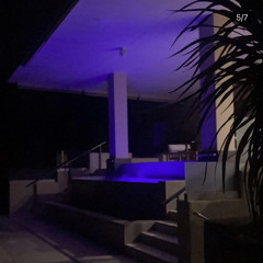 dashboyale