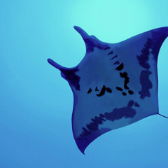 Chinatsu