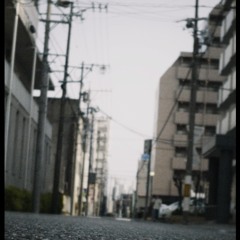 TAIGA