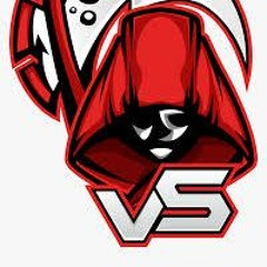 dj vsr