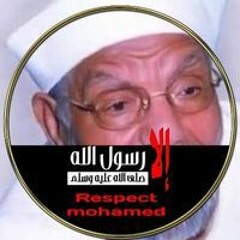 Alaa Mahmoud