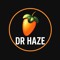 DR HAZE