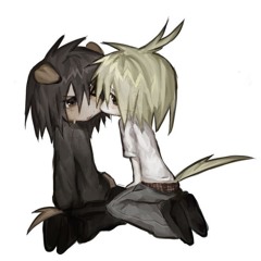 kitten.cc