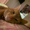 tweeks