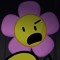 flower / ayesha