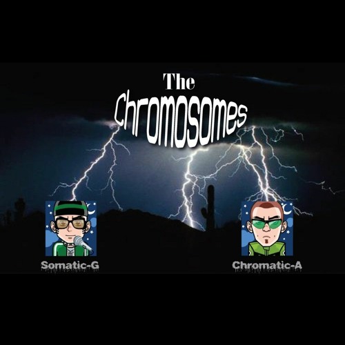 The Chromosomes’s avatar