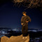 Shane SEYHAN Rohde