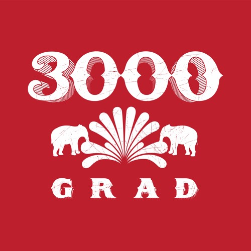 3000Grad / Acker Records’s avatar