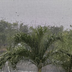 ꨄѕαуԃєꨄ ꨄηєνєαυχꨄ