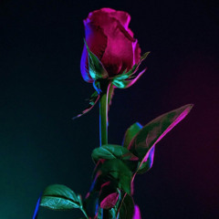 user898992