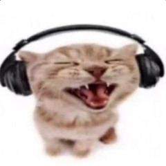 silly little song enjoyer