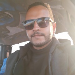Mostafa AboAli