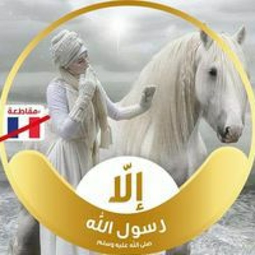 Mona Ahmed’s avatar