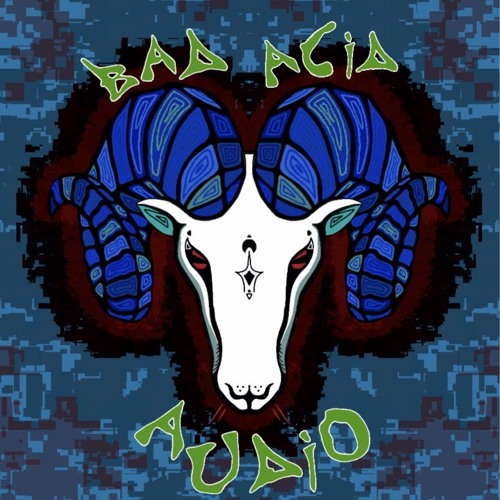 BAD ACID AUDIO — artist photo