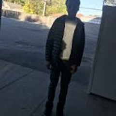 Y.bd_zo