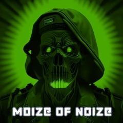 moize of noize 334