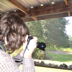 warm-weather pastime