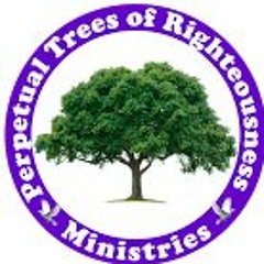 Bb 144 BPM   Holy Spirit Carry Me Oh - Nathaniel Bassey