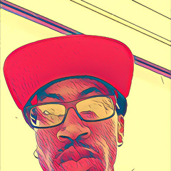 Fly Guy Shy Money