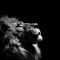 Lionz King of Tekk