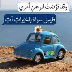Said Sayed