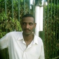 هيثم عمر