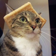 планктон аааа мем